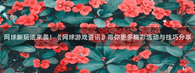 高德娱乐注册登录：网球新玩法来袭！《网球游戏资讯》带你更多精