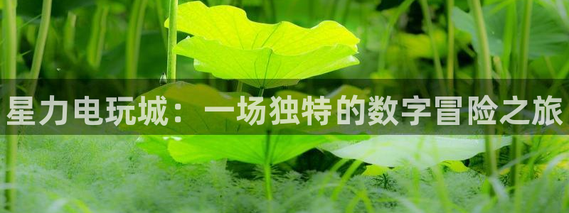 高德娱乐Ii：星力电玩城：一场独特的数字冒险之旅