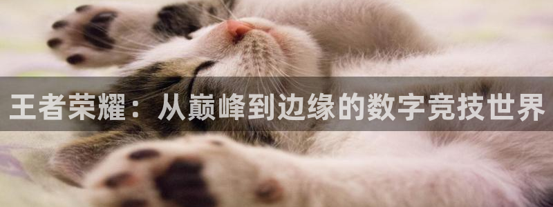 高德娱乐娱乐：王者荣耀：从巅峰到边缘的数字竞技世界