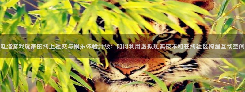 高德娱乐注册测速：电脑游戏玩家的线上社交与娱乐体验升级：如何