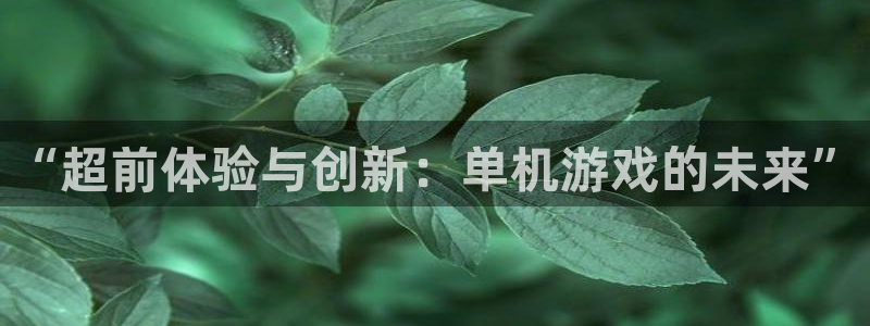 高德娱乐平台登录：“超前体验与创新：单机游戏的未来”