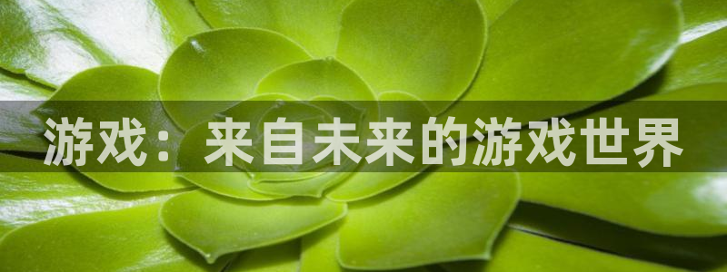 高德娱乐注册网站：游戏：来自未来的游戏世界