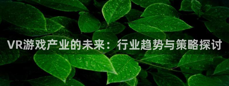 高德娱乐注册测速：VR游戏产业的未来：行业趋势与策略探讨